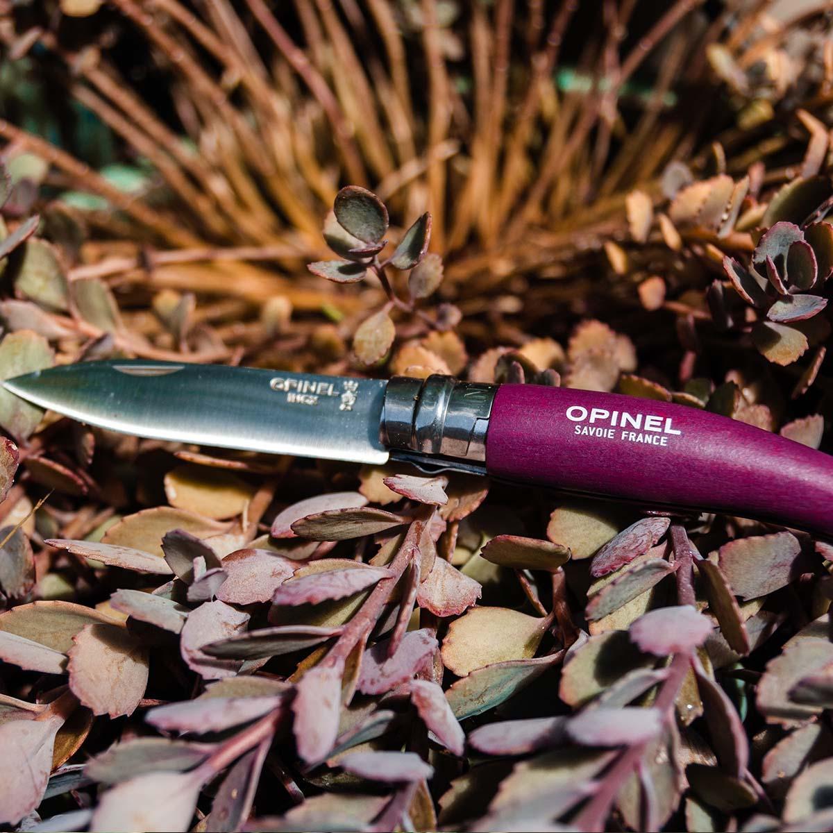 Stainless Steel vs. Carbon Steel Knives-OPINEL USA