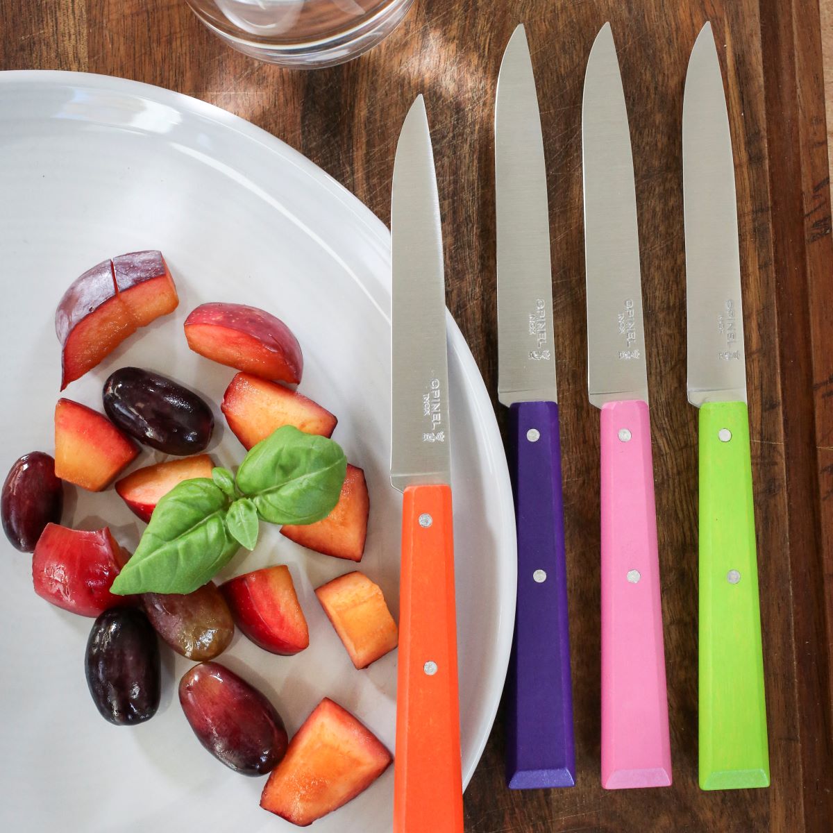 Opinel Essential Vegetable Knife - Individual - OPINEL USA