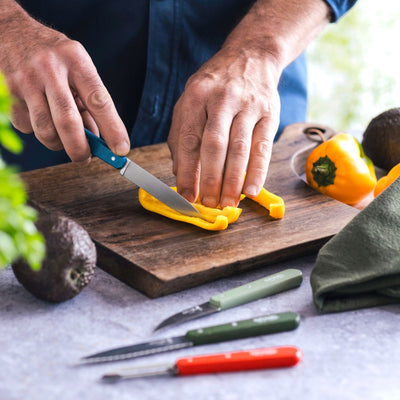 Essential Paring Knife - Paysage Color Set-OPINEL USA