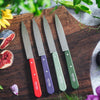 Essential Paring Knife - Paysage Color Set-OPINEL USA