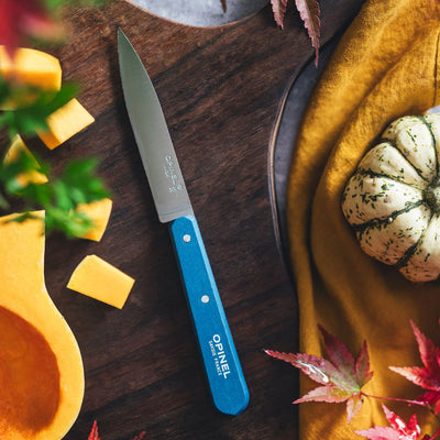 Essential Paring Knife - Paysage Color Set-OPINEL USA