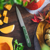 Essential Paring Knife - Paysage Color Set-OPINEL USA