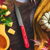 Essential Paring Knife - Paysage Color Set-OPINEL USA