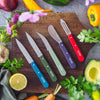 Essential Serrated Paring Knife - Paysage Color Set-OPINEL USA