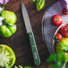 Essential Serrated Paring Knife - Paysage Color Set-OPINEL USA