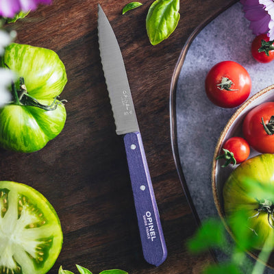 Essential Serrated Paring Knife - Paysage Color Set-OPINEL USA