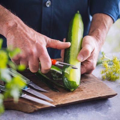 Essential Stationary Peeler - Paysage Color Set-OPINEL USA