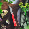 Essential Vegetable Knife - Paysage Color Set-OPINEL USA