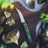 Essential Vegetable Knife - Paysage Color Set-OPINEL USA