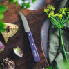 Essential Vegetable Knife - Paysage Color Set-OPINEL USA