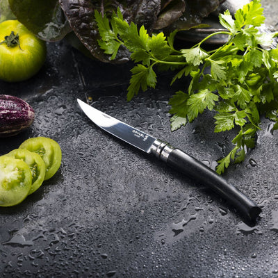 No.10 Effilé Stainless Steel Slim Folding Knife - Ebony-OPINEL USA