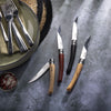 No.10 Effilé Stainless Steel Slim Folding Knife - Ebony-OPINEL USA