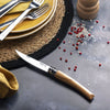 No.10 Effilé Stainless Steel Slim Folding Knife-OPINEL USA