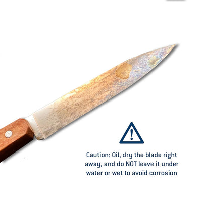 No.102 Carbon Steel Paring Knives (Set of 2)-OPINEL USA