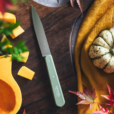 No.112 Stainless Steel Paring Knives Set-OPINEL USA