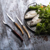 No.12 Effilé Stainless Steel Filleting Folding Knife-OPINEL USA
