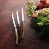 No.12 Effilé Stainless Steel Filleting Folding Knife-OPINEL USA