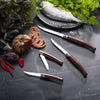 No.15 Effilé Stainless Steel Filleting Folding Knife-OPINEL USA