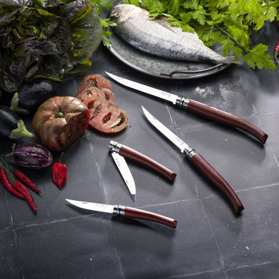 No.15 Effilé Stainless Steel Filleting Folding Knife-OPINEL USA