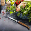 No.15 Effilé Stainless Steel Filleting Folding Knife-OPINEL USA
