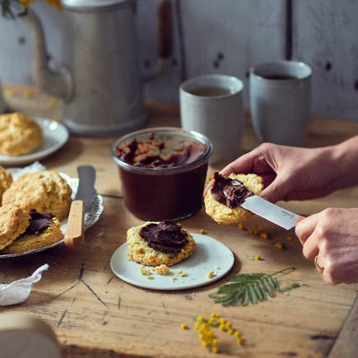 Brunch Spreading Knife-OPINEL USA