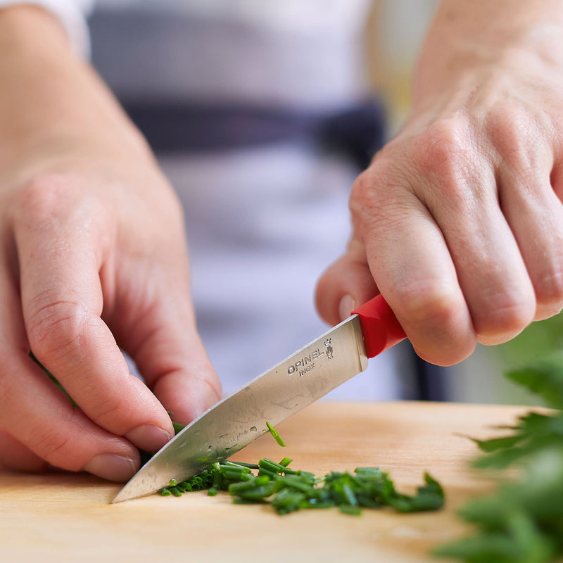 Essential+ Paring Knife-OPINEL USA