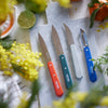 Essential Small Kitchen Knife Set-OPINEL USA