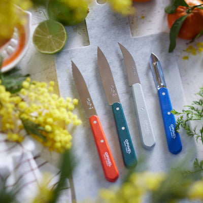 Essential Small Kitchen Knife Set-OPINEL USA