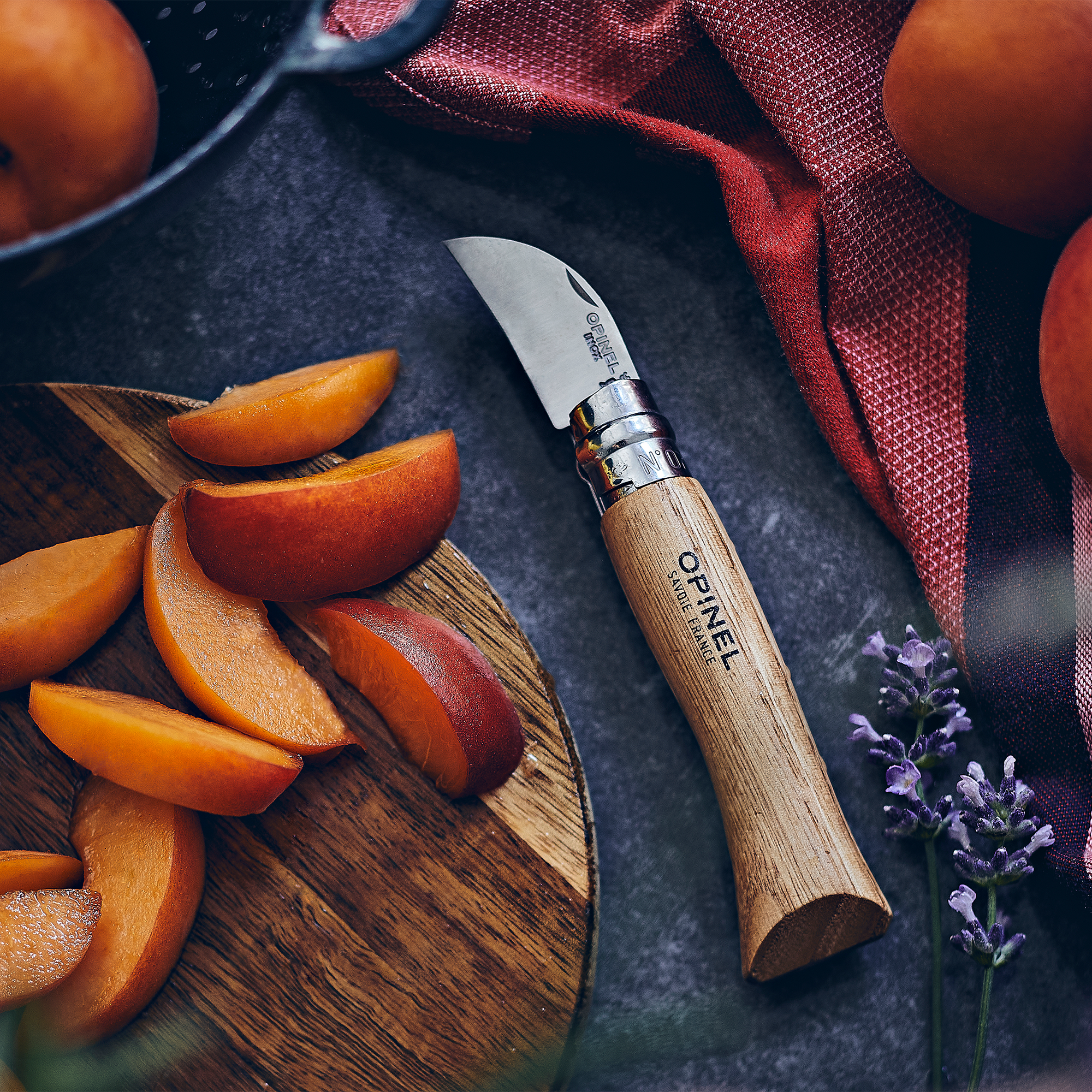 Opinel  No.07 Stainless Steel Pocket Knife - OPINEL USA