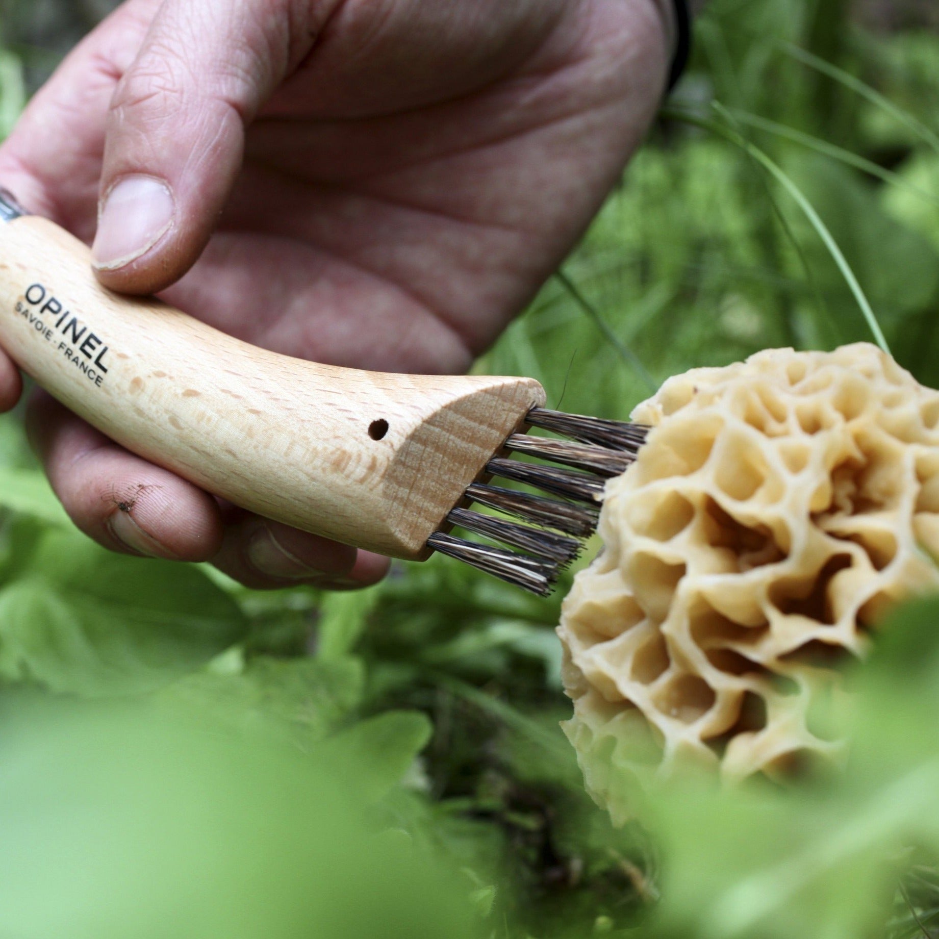 Opinel Mushroom Knife Set