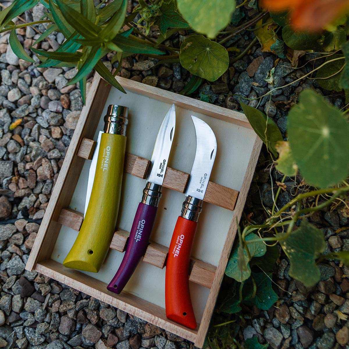 Opinel 4-Piece Essentials Small Kitchen Knives Set, Olive Wood